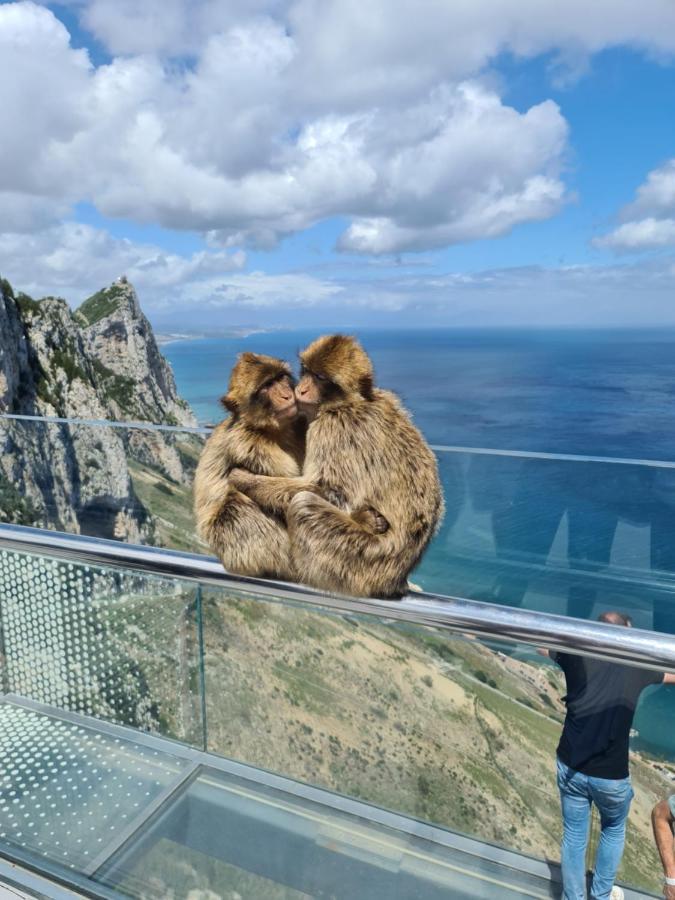 Seaside Serenity - Stylish Apartment With Spectacular Views マニルバ エクステリア 写真