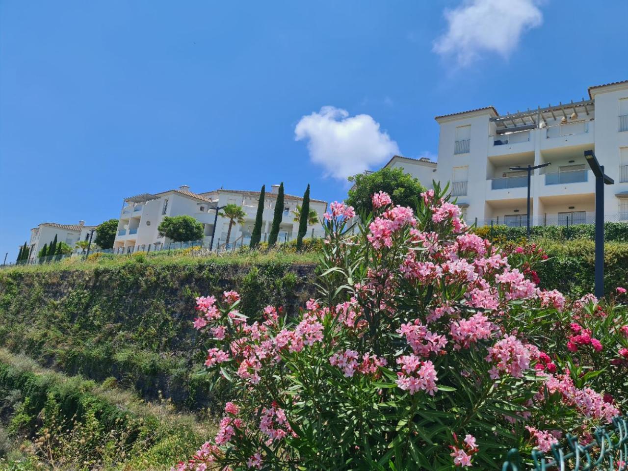Seaside Serenity - Stylish Apartment With Spectacular Views マニルバ エクステリア 写真